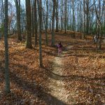 Hickory Mountain Summit