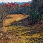 View from Hickory Mountain Loop Trail