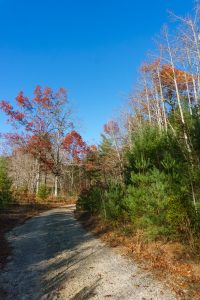 Hickory Mountain Road Meadow