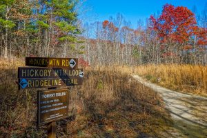 Hickory Mountain Road and Loop Junction