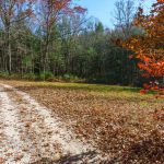 Meadow on Hickory Mountain Road