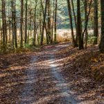 Hickory Mountain Road