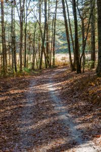 Hickory Mountain Road