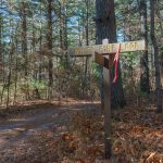 White Pine Loop and Hickory Mountain Road trail sign