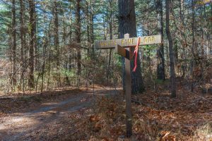 White Pine Loop and Hickory Mountain Road trail sign