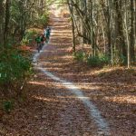 Straight Section of Hickory Mountain Road