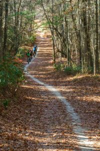 Straight Section of Hickory Mountain Road