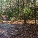 Poplar Trail and Rifle Trail Sign
