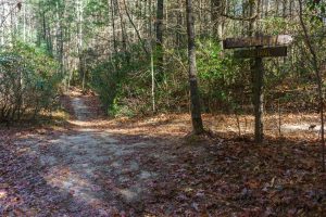 Poplar Trail and Rifle Trail Sign