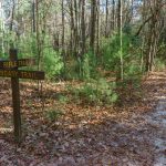 Rifle Trail and Boundary Trail Junction