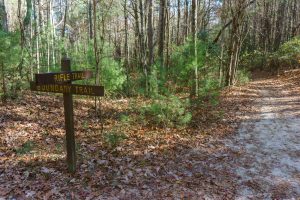 Rifle Trail and Boundary Trail Junction
