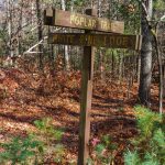 Poplar Loop and White Pine Loop Trail Sign