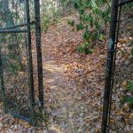 Shut-In Trail Gate