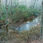 Bent Creek from Campground Connector