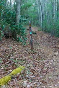 Deerfield Loop from the Main Road