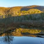 Bent Creek and Lake Powhatan from Homestead Loop