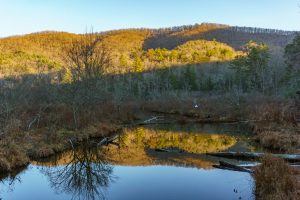 Bent Creek and Lake Powhatan from Homestead Loop