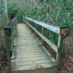 Homestead Trail Bridge