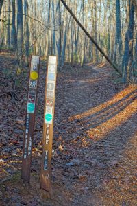 Pine Tree and Deerfield Loops