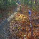 Start of Pine Tree Loop Trail