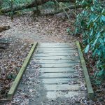 Small Creek Trail Bridge