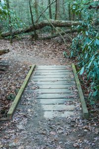 Small Creek Trail Bridge