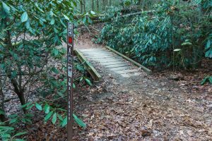 Small Creek Trail Sign and Bridge