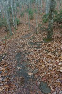 Chestnut Cove Trail Rocks