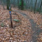 Chestnut Cove Trail Sign