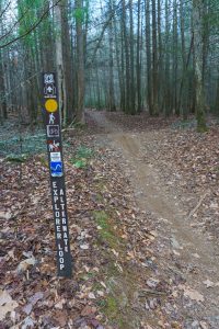 Explorer Loop Alternate Trail