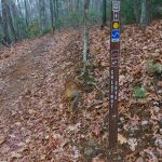 Chestnut Cove Trail Sign