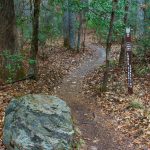 Start of Lower Sidehill Connector Trail