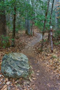 Start of Lower Sidehill Connector Trail