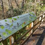 Andy Cove Nature Trail Bird Sign