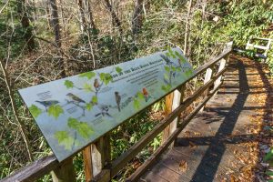 Andy Cove Nature Trail Bird Sign