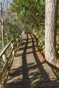 Andy Cove Nature Trail Boardwalk