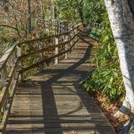 Andy Cove Nature Trail Boardwalk