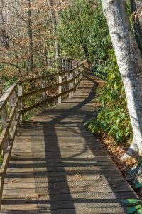 Andy Cove Nature Trail Boardwalk