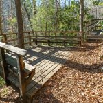 Observation Platform on the Andy Cove Nature Tral