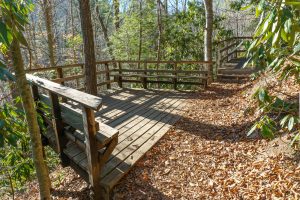 Observation Platform on the Andy Cove Nature Tral