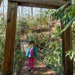 Andy Cove Nature Trail Suspension Bridge