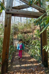 Andy Cove Nature Trail Suspension Bridge