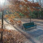 Sit and Relax on the Exercise Trail