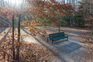 Sit and Relax on the Exercise Trail