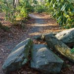 Rock Pile on the Exercise Trail