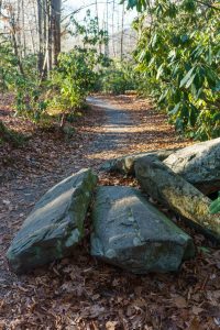 Rock Pile on the Exercise Trail