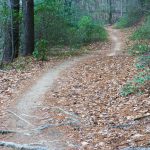 Grassy Road Trail Fast Section