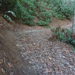 Sycamore Cove Trail Banked Curve