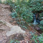 Sycamore Cove Trail Cascade