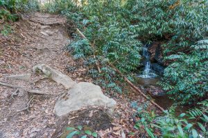 Sycamore Cove Trail Cascade